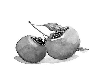 螃蟹+柿子=腹泻？科学解读食物相克