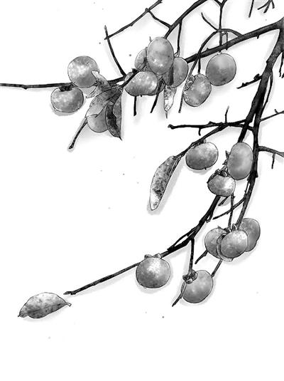 螃蟹+柿子=腹泻？科学解读食物相克