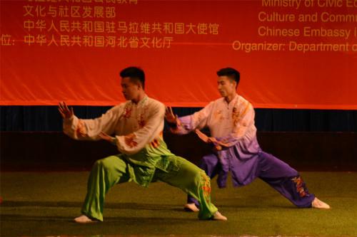 中国侨网武术表演。