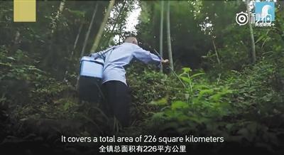 点击进入下一页