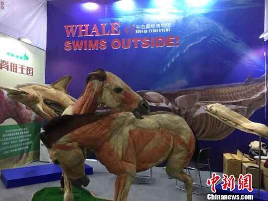 图为“生命奥秘博物馆”?！≡?摄