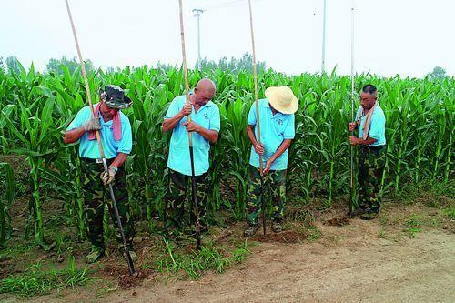 联合考古队在容城县南阳村考古，发掘古燕国城墙遗址。 摄影/刘向阳