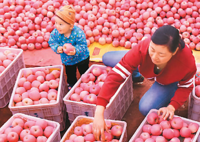 QQ截图20171026081814