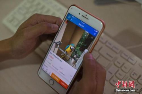 资料图：淘宝店主使用手机浏览自己的淘宝店铺。<a target='_blank' href='http://www.chinanews.com/'>中新社</a>记者 刘关关 摄