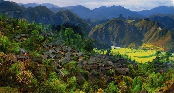 TIM截图20171030095954