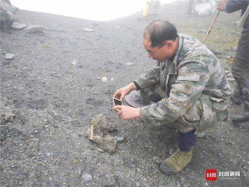 成都首次雪豹专项调查结束:成都范围有 至少两只