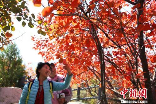 点击进入下一页