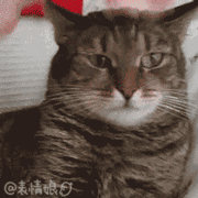 现实版原力?面包车行驶中突然跳起 电动车被甩飞