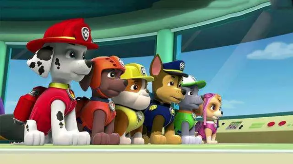 流浪狗被捡后到联合国当保安 过上丰衣足食生活