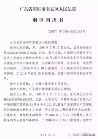 男子出售6只鹦鹉被判5年2