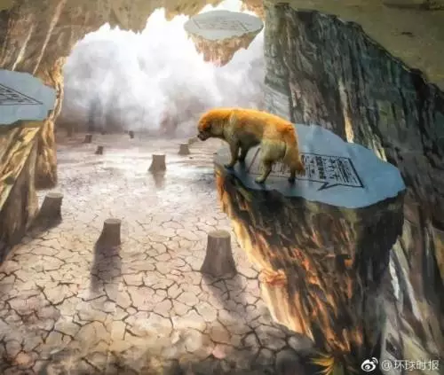 部分高校路面突现巨大“天坑” 网友：看完腿软