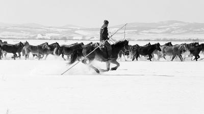 中国生态文明建设正快速推进进步率位居G20首位