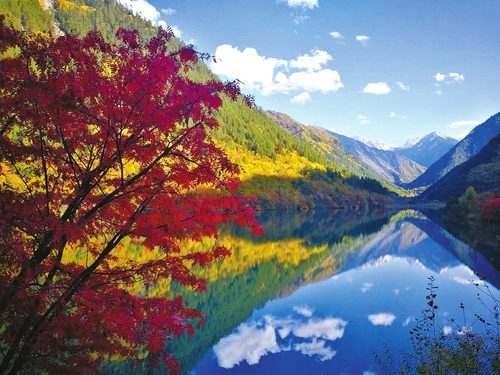 点击进入下一页