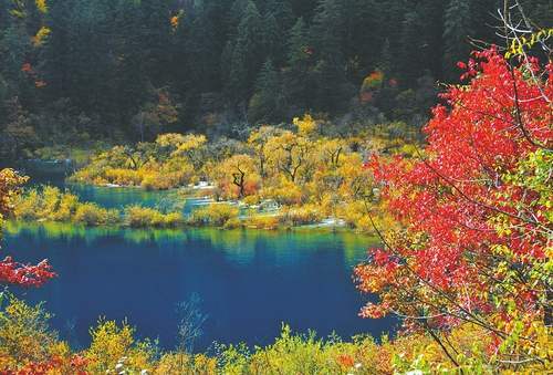 点击进入下一页