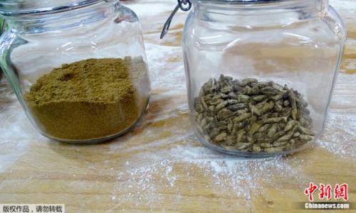 这款面包将干燥蟋蟀磨成粉末并加进面粉中制作，每条约含有70只蟋蟀。