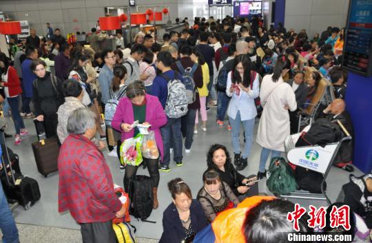 图为旅客排队值机?！⊙瞵B 摄