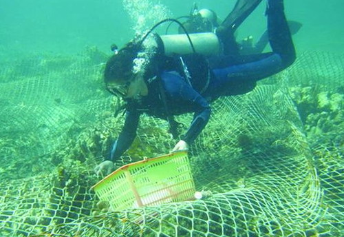 QQ截图20171127143517