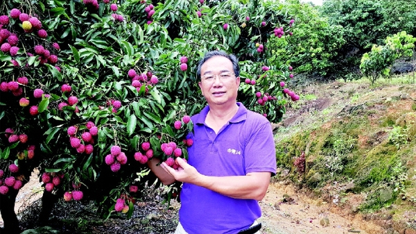 彩C2017-11-28zx801_P_1_539_717_1599_1313 彩C2017-11-28zx801_P_1_539_717_1599_1313