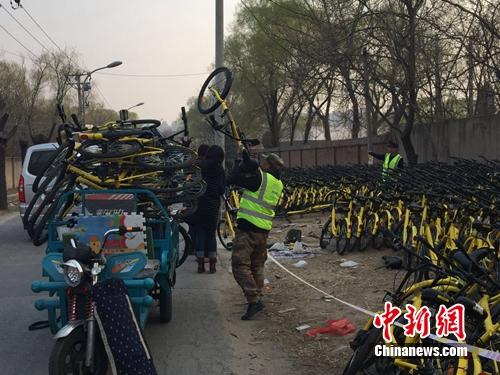 资料图：ofo工作人员在做运维工作。<a target='_blank' href='http://www.chinanews.com/' >中新网</a> 吴涛 摄