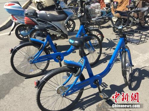 资料图：不断有新共享单车平台进入市场。<a target='_blank' href='http://www.chinanews.com/' >中新网</a> 吴涛 摄