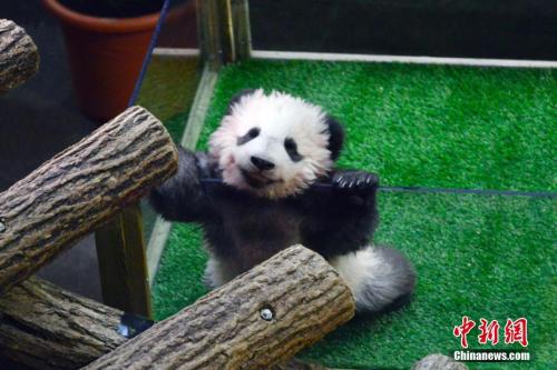 点击进入下一页