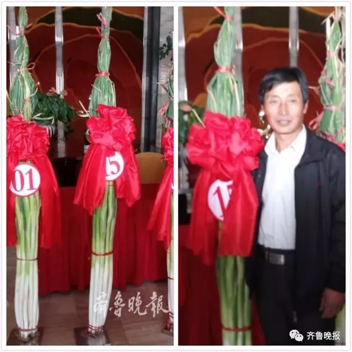 南方妹子遇北方大葱疯了:长了20多年 还没根葱高!