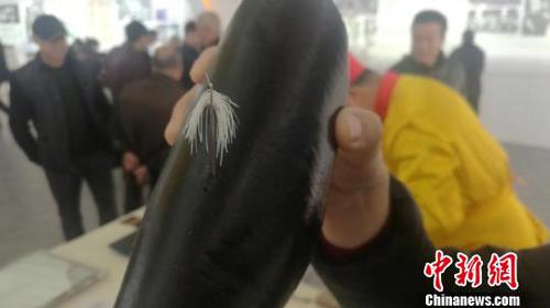 一个针眼穿进40根面条 袁伟 摄