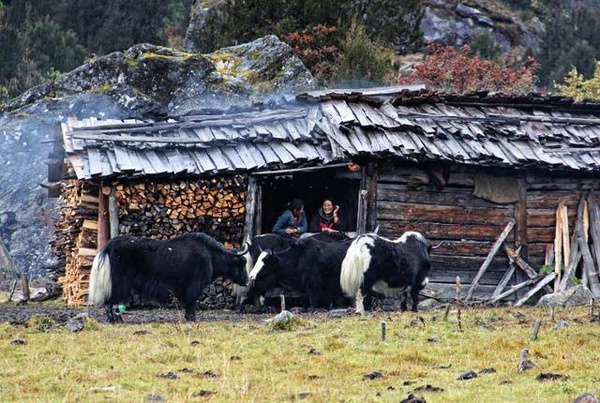 工布江达县旅游2