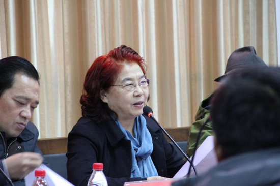 中国陶瓷协会副理事长、河南省陶瓷协会会长王爱纯致开幕词