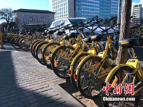 资料图：成排的共享单车在路边停放。<a target='_blank' href='http://www.chinanews.com/' >中新网</a> 吴涛 摄