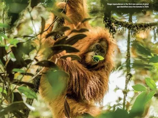 《科学》年度突破:中国小组冷冻电镜技术获进展
