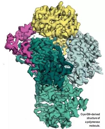 《科学》年度突破:中国小组冷冻电镜技术获进展