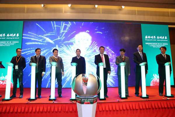 首届国际草莓品牌大会及溧水草莓“美莓”品牌启动仪式