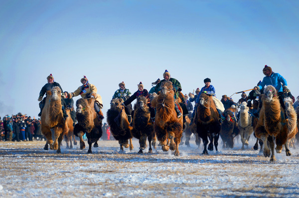 008A牧民在盛会上赛骆驼