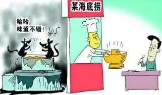 因老鼠关停的海底捞重开 员工:每桌都能看后厨画面