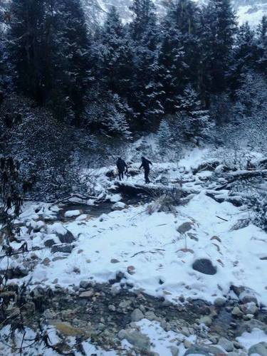 驴友穿越原始森林被困 向导提前离开:剩下的路不远