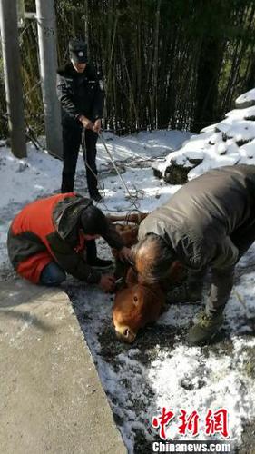 图为现场。平武警方提供