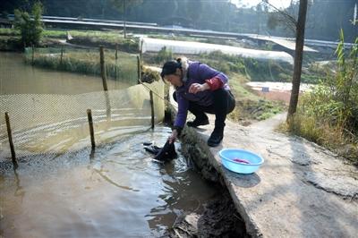 儿媳放弃上万月薪回乡照顾患老年痴呆症的公公