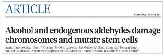 　　图片说明：很多文章都呼吁大家要少喝酒，无论红酒、白酒、啤酒、药酒。