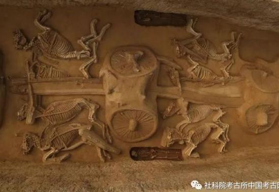 二号车马坑二、三号车（马头向东）