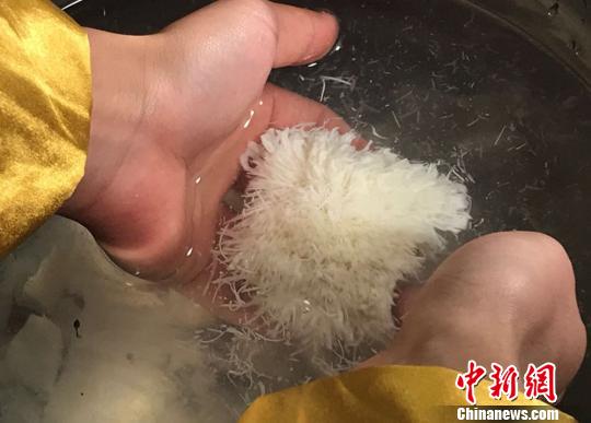 “菊花豆腐”就在水盆中“绽放”开来?！〉讼?摄