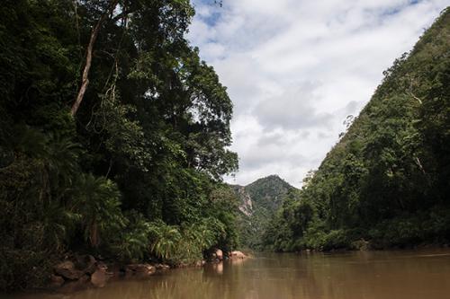 点击进入下一页