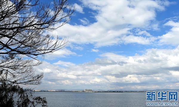 wKhTlFeVakWERY7ZAAAAAAPyu-g985