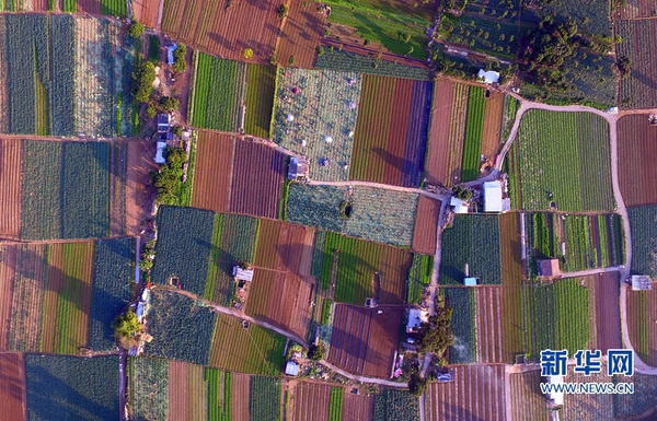 1120323015_14845701139131n 1120323015_14845701139131n