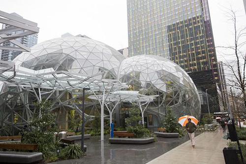 豪砸40亿美元！亚马逊总部扩建了一片“热带雨林”