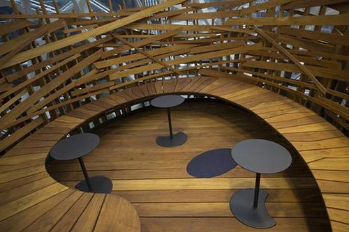 豪砸40亿美元！亚马逊总部扩建了一片“热带雨林”