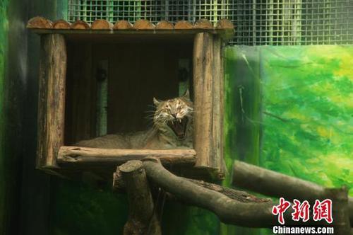 点击查看大图 点击查看大图