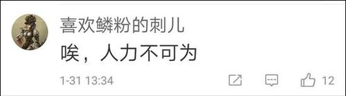 点击查看大图 网友称最后一只动物园里的华南金猫去世