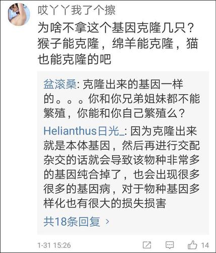 点击查看大图 网友称最后一只动物园里的华南金猫去世