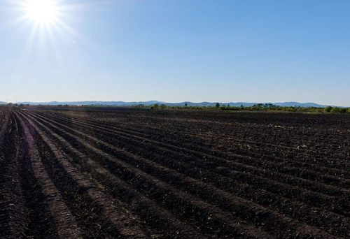 QQ截图20180205085811